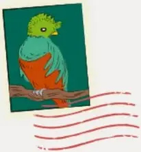 Ilustración de un loro verde y naranja posado en una rama, con líneas rojas de movimiento.