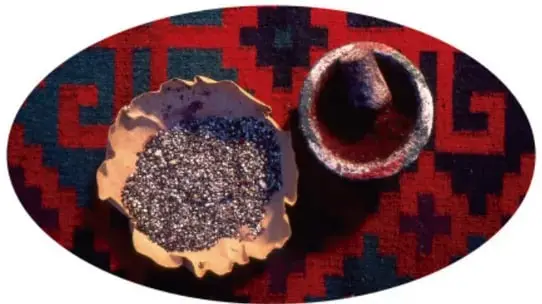 Fotografía en círculo de un nopal verde cubierto de cochinillas blancas (con su algodoncito), con dedos que aplastan una cochinilla roja dejando ver el intenso pigmento carmín en la piel.