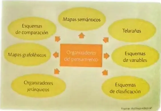 Figura 3 de Lengua y Literatura 3° · 2025
