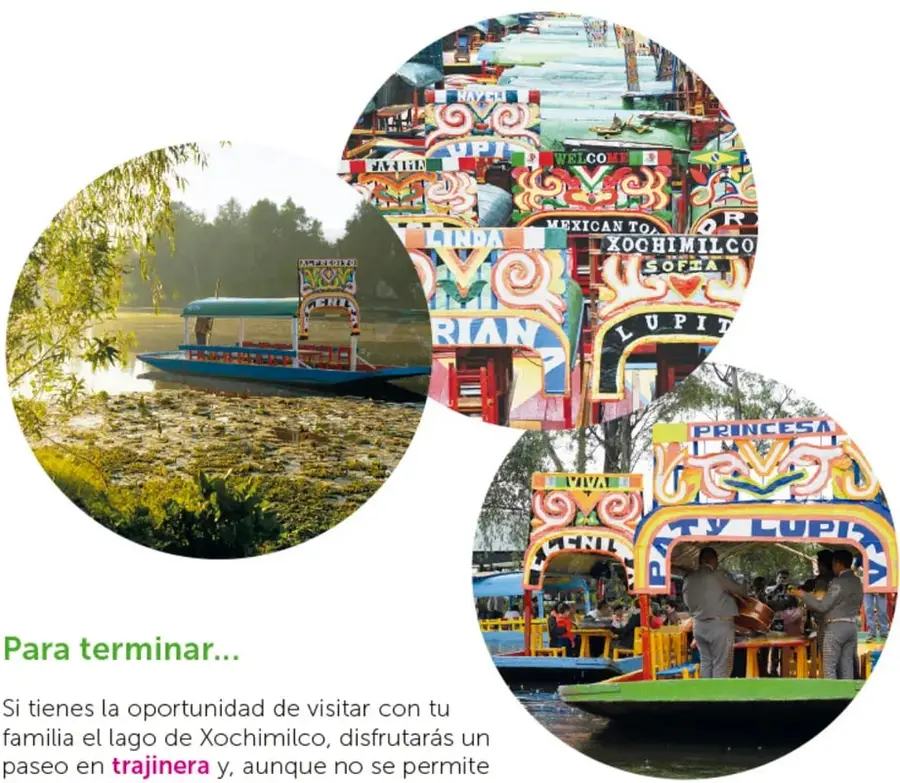 Trajinera navegando por un canal de Xochimilco con vegetación flotante.