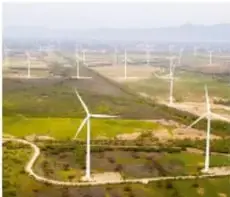 Parque eólico con varias turbinas blancas en un paisaje abierto con vegetación baja.