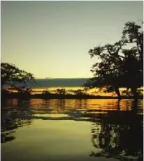 Fotografía de un paisaje natural con agua, vegetación y luz del atardecer.