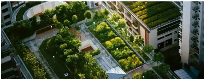 Fotografía aérea de un edificio con terraza ajardinada (azotea verde) y vegetación abundante, ilustrando acciones de mejora del entorno urbano.