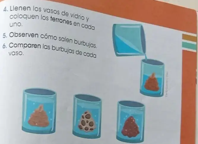 Vasos con terrones sumergidos mostrando burbujas que salen del suelo.