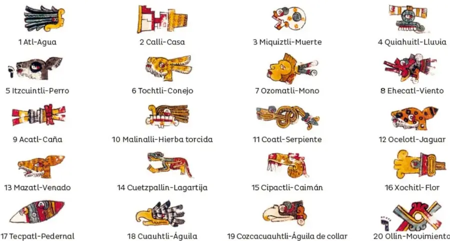 Veinte glifos de los días del tonalpohualli con sus nombres en náhuatl y español.