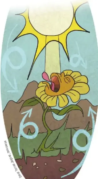 Ilustración de una planta con flor amarilla creciendo entre montañas, bajo un sol radiante, con flechas curvas que representan ciclos de materia y energía.