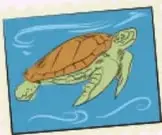 Estampilla ilustrada con una tortuga marina nadando en aguas azules, alusiva a los atractivos naturales de México.