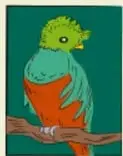 Ilustración de un ave verde y naranja posada en una rama.