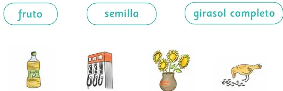 Botella de aceite de girasol.
