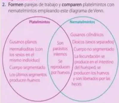 Figura 7 de Ciencias Naturales 5° · Egb 5 Ciencias Naturales 2024 · 2024
