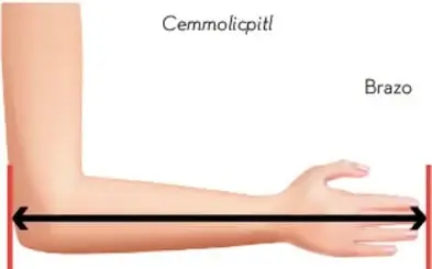 Ilustración de un brazo extendido que muestra la medida del cemmolicpitl, desde el codo hasta la punta del dedo medio.