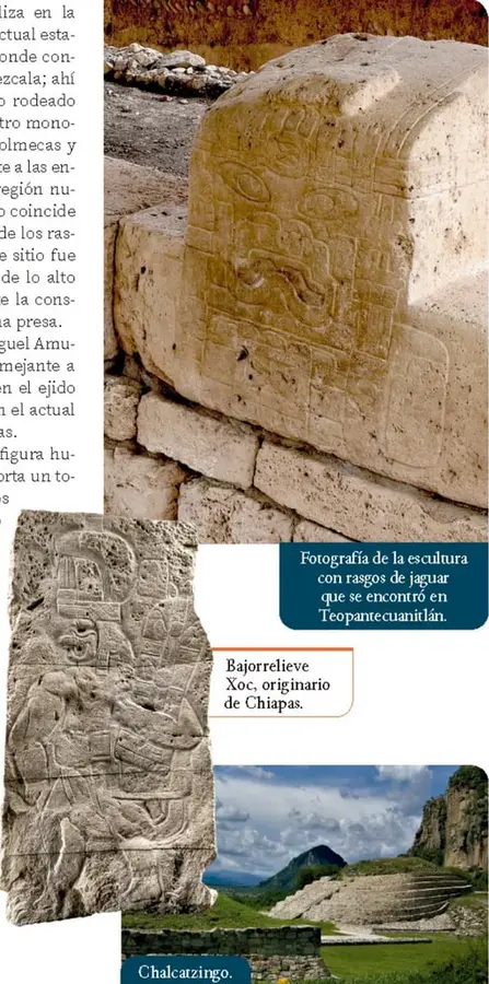 Fotografía de una escultura de piedra con rasgos de jaguar encontrada en Teopantecuanitlán.