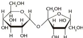 Estructura de la sacarosa: dos anillos unidos, uno de glucosa y otro de fructosa.