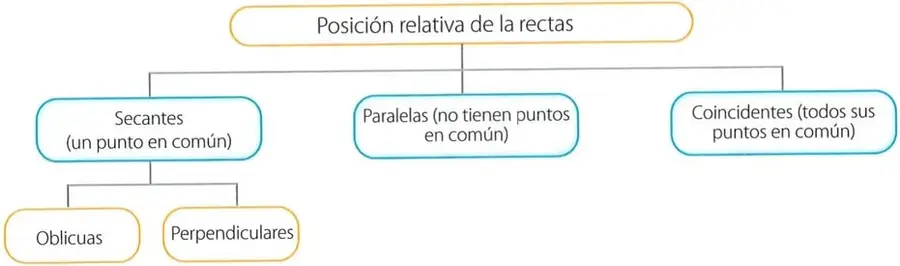 Figura 7 de Matematica 7° · 2025