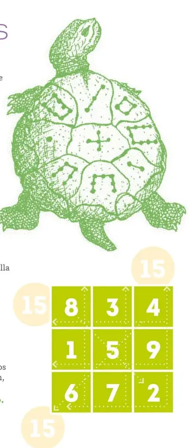 Dibujo en líneas verdes de una tortuga con marcas geométricas en el caparazón, representación de la leyenda de Lo Shu.