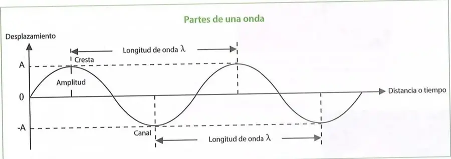 Figura 2 de Ciencias Naturales 10° · 2025