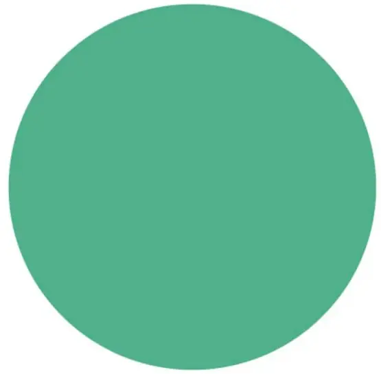 Gran círculo verde liso sobre fondo blanco: el personaje Círculo de la historia.
