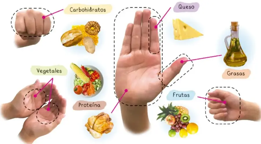 Infografía titulada 'Método de la mano': manos humanas señalando con líneas rosas las porciones de carbohidratos (puño), vegetales (puñado), proteína (palma), queso (dedos), grasas (pulgar) y frutas (puño con pulgar), junto a imágenes de alimentos de cada grupo.