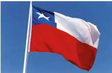 Fotografía de la bandera de Chile izada, con la etiqueta 'raise the flag'.