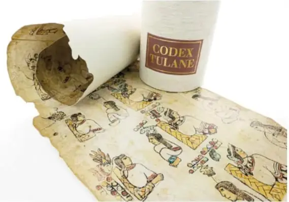 Fotografía del Codex Tulane: un rollo de piel o papel parcialmente enrollado con su etiqueta roja, junto a un segmento desplegado con pinturas.