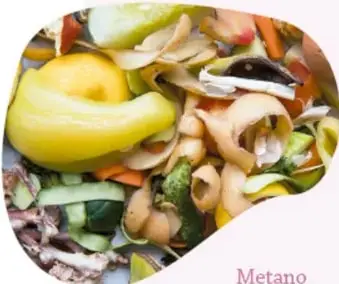 Fotografía en forma de gota que muestra cáscaras y restos de frutas y verduras (biodegradables) dentro de un contenedor.