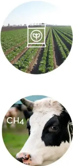 Icono circular con un campo de cultivo y un símbolo de reciclaje, representando la agricultura sostenible.