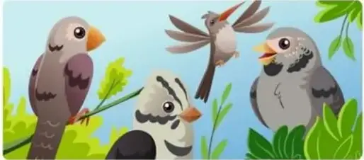 Cuatro pájaros pequeños grises sobre ramas verdes.