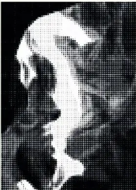Imagen en blanco y negro formada por puntos (tramado) que puede interpretarse como un rostro humano o un ave.