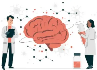 Ilustración de dos científicos junto a un cerebro humano y moléculas, representando el estudio del sistema nervioso y endócrino.