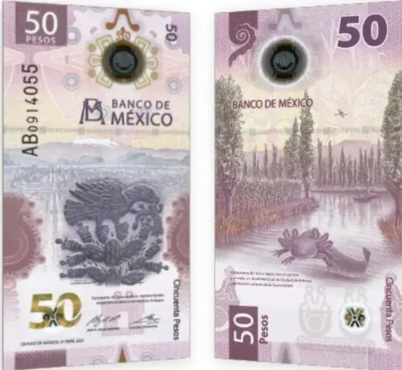 Billete de 50 pesos del Banco de México mostrado por ambos lados: anverso (con un ajolote y volcanes al fondo) y reverso (paisaje de chinampas con un ajolote y un caracol), rotulado 'Anverso' y 'Reverso'.
