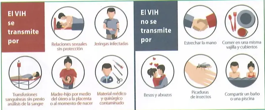 Figura 2 de Ciencias Naturales 10° · 2025