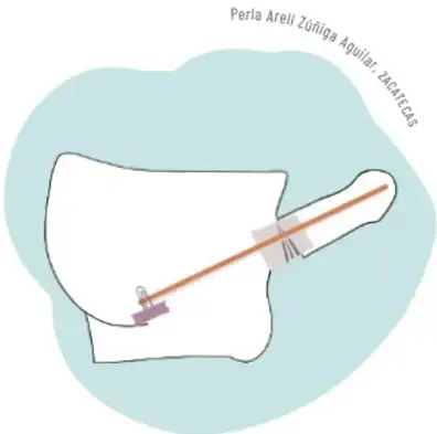 Dibujo de las partes internas del aparato reproductor masculino.