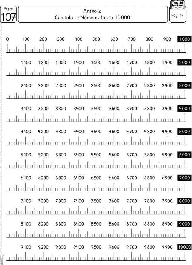 Figura 1 de Sumo Primero – Cuarto Básico | Texto del Estudiante MINEDUC – Descargar PDF · 2024
