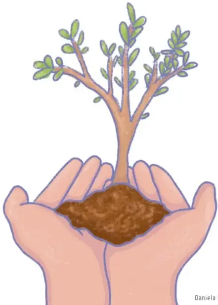 Ilustración de dos manos abiertas sosteniendo tierra de la que crece un árbol con hojas verdes; crédito a Daniela Regis Rivas, Aguascalientes.