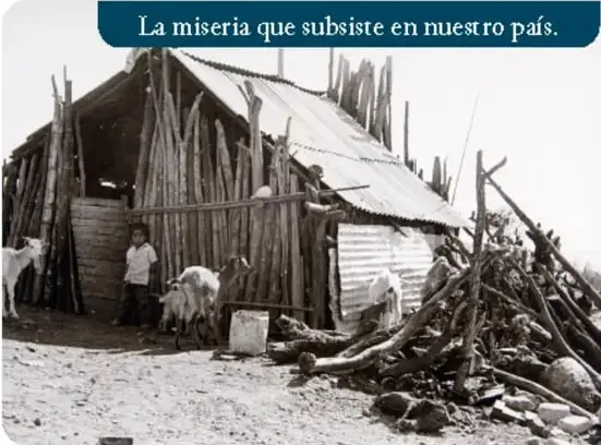Mujer sosteniendo una pancarta con la palabra 'DESAPARECIDO'.