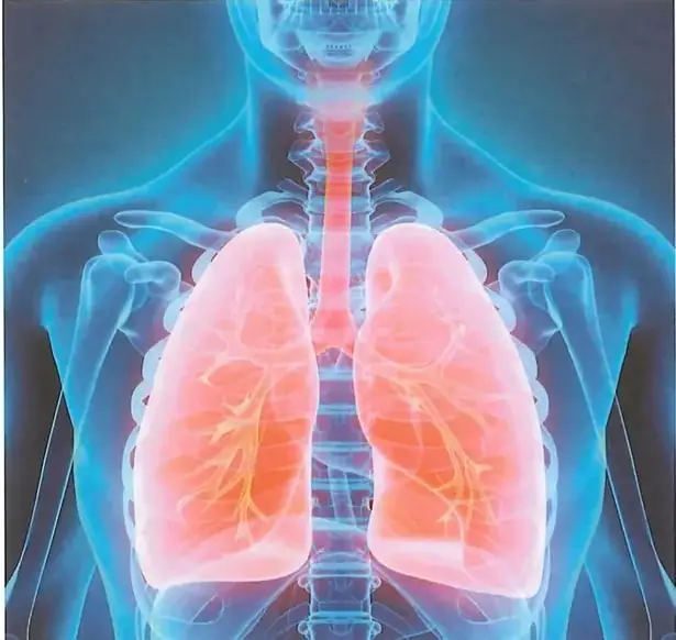 Imagen del tórax humano en la que se observan los pulmones rosados, el corazón y las costillas.