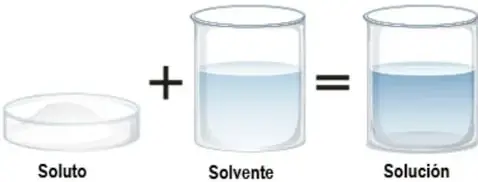 Diagrama de solubilidad: sóluto en cápsula de Petri + solvente en vaso = solución en vaso.