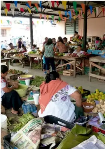 Franja decorativa con símbolos prehispánicos y naturales.