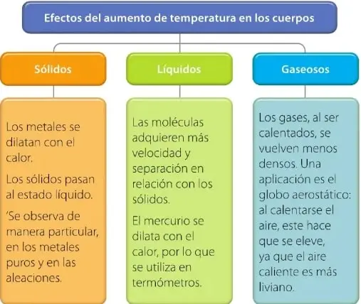 Organizador gráfico sobre los efectos del aumento de temperatura en sólidos, líquidos y gases.