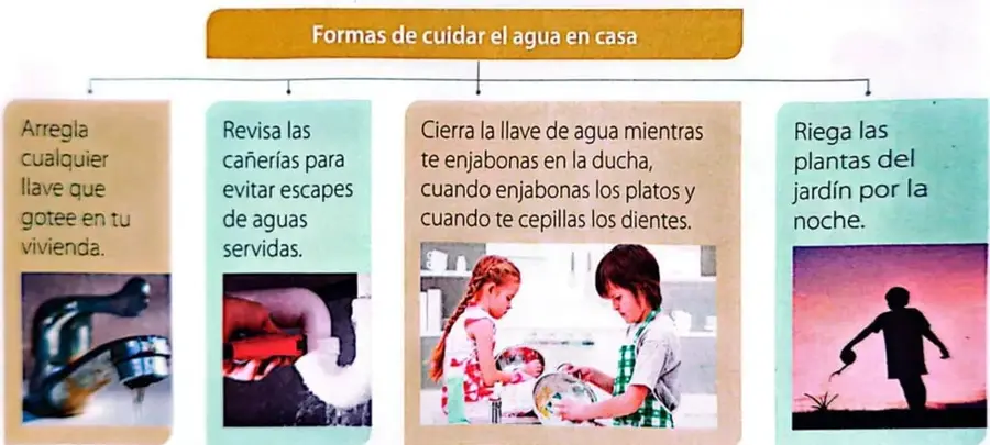 Imágenes que muestran acciones para cuidar el agua en casa: reparar una llave, revisar cañerías, cerrar la llave y regar por la noche.