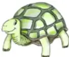 Ilustración de una tortuga verde caminando.