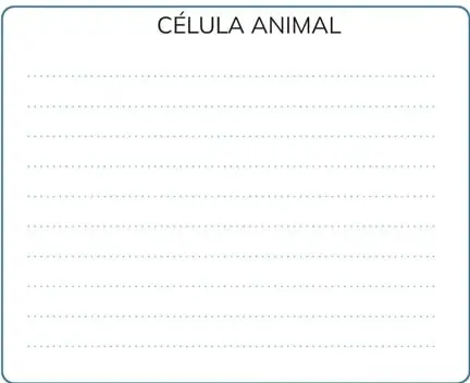 Figura 2 de Biologia 2° · Bgu 2 Biologia 2024 · 2024