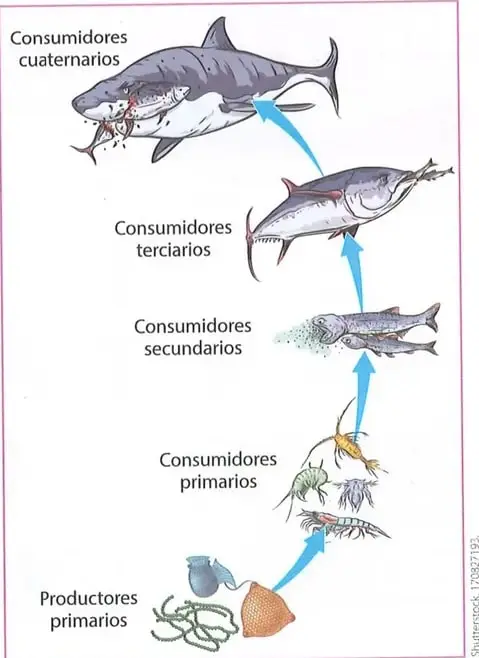 Figura 3 de Ciencias Naturales 8° · Egb 8 Ciencias Naturales 2025 · 2025