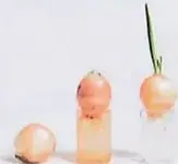 Figura 3 de Ciencias Naturales 10° · 2025