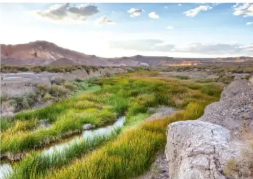 Paisaje árido con vegetación riparia y un arroyo de agua entre rocas, con montañas y cielo parcialmente nublado; representa el ambiente de Aridoamérica.
