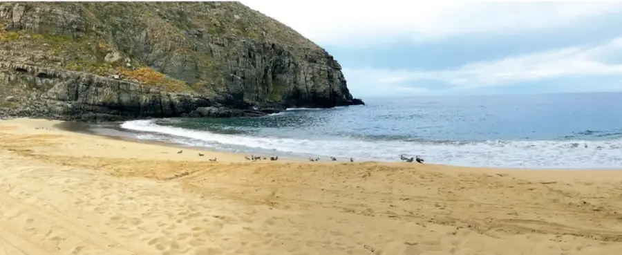 Playa de arena dorada con acantilados oscuros, olas del Pacífico y un grupo de aves en la orilla, bajo cielo nublado.
