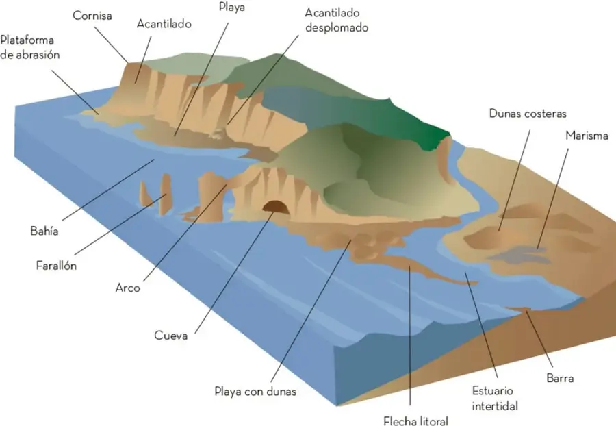 Esquema tridimensional de un litoral con etiquetas: plataforma de abrasión, cornisa, acantilado, playa, acantilado desplomado, bahía, farallón, arco, cueva, playa con dunas, flecha litoral, estuario intertidal, barra, dunas costeras y marisma.