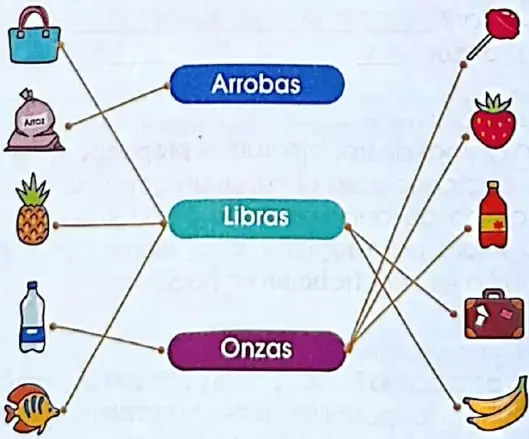 Se muestran objetos cotidianos conectados con las categorías arrobas, libras y onzas.