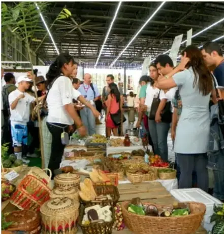 Fotografía de un mercado comunitario techado donde varias personas exhiben y revisan productos artesanales en canastas y mesas (frutas, objetos tejidos), ilustrando la interacción entre productores y compradores de una comunidad.