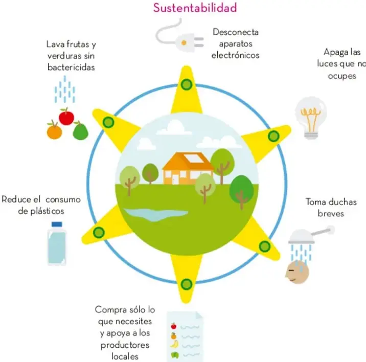 Infografía circular titulada 'Sustentabilidad' con un paisaje natural al centro y seis acciones sustentables alrededor: lavar frutas y verduras sin bactericidas, desconectar aparatos electrónicos, apagar luces que no ocupes, tomar duchas breves, comprar solo lo necesario y apoyar a productores locales, y reducir el consumo de plásticos.